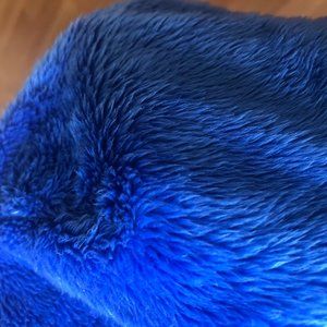 Blue Winter North Face hat